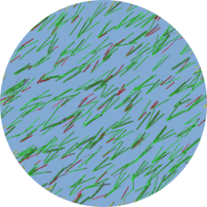 Trichogramm-Trichoscan-Leipzig